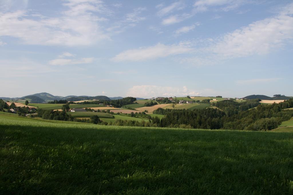 Kreuzen  Kirchenwirt Inn المظهر الخارجي الصورة